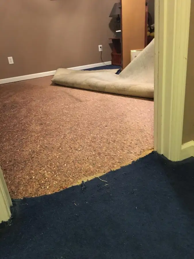 Carpet pad removal revealing water damage during Water Mitigation Services in Green Cove Springs