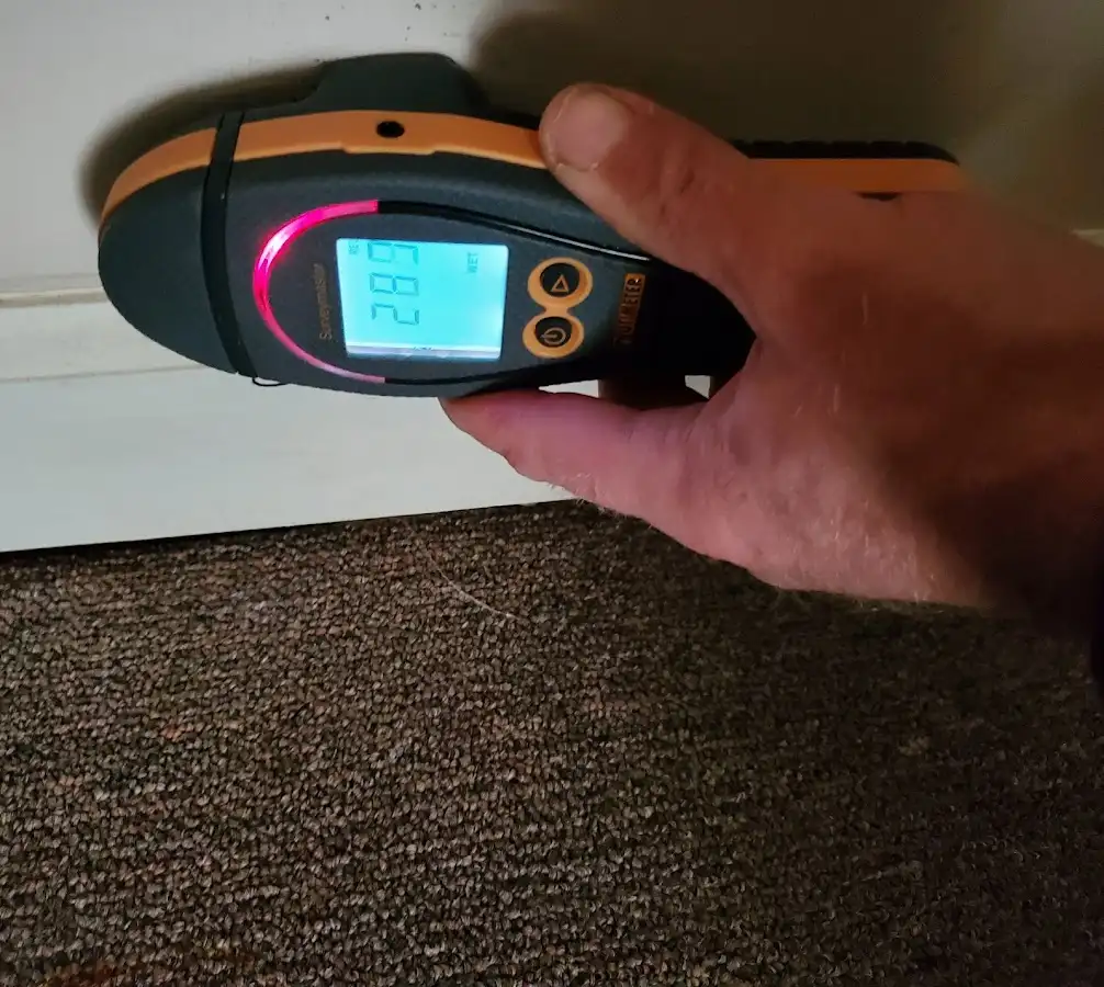 Moisture detection at baseboard during Sewage Cleanup & Sanitation in Green Cove Springs